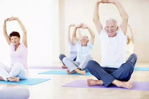 International Yoga Day 2024 : करने में हैं आसान,बुजुर्गों के लिए ये योगासन