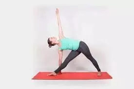International Yoga Day 2024: योग के 14 आसान तरीके हर एक्सरसाइज के फायदे जानिए
