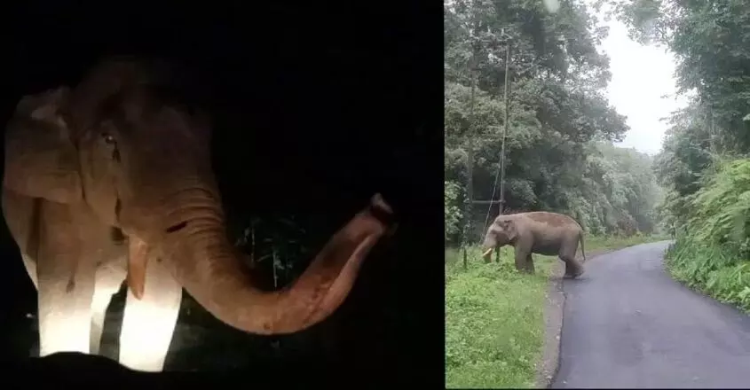 KERALA NEWS : जंगली हाथी कबाली ने अथिराप्पिल्ली-मलक्कप्पारा अंतरराज्यीय राजमार्ग पर केएसआरटीसी बस और एम्बुलेंस को रोका