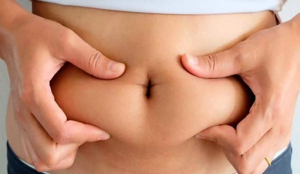 Health Tips: पेट की चर्बी को दूर कर 1 हफ्ते में पिचक जाएगा पेट अपनाये ये  पाउडर