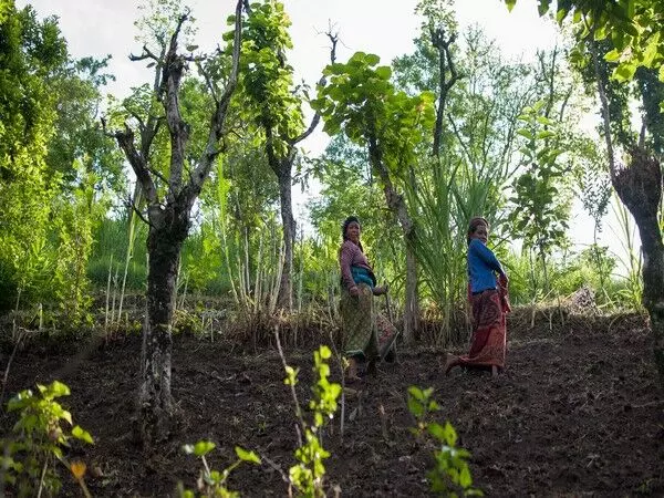 Italy : ग्लोबल एनवायरनमेंट फैसिलिटी ने 28 देशों में एफएओ परियोजनाओं को समर्थन देने के लिए 70 मिलियन अमरीकी डॉलर की मंजूरी दी