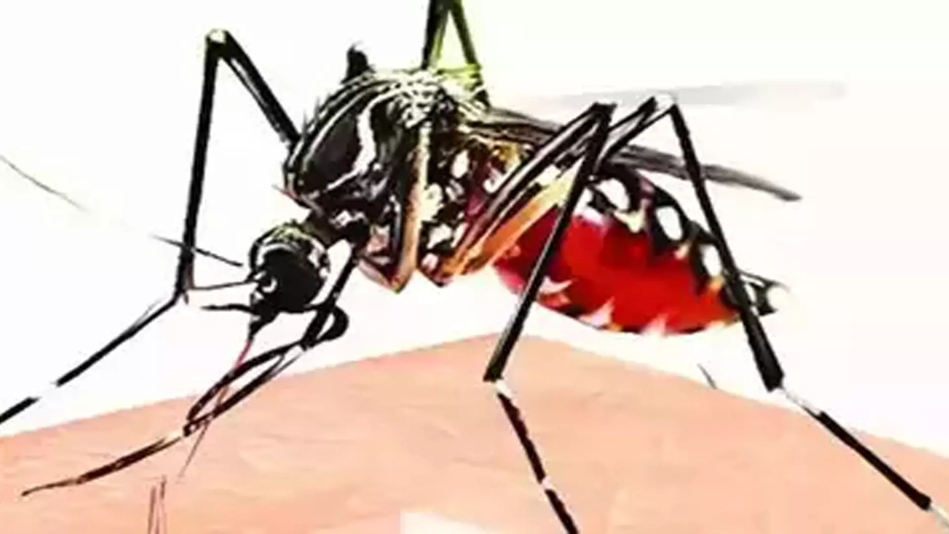 HYDERABAD NEWS : डेंगू के मामलों में तेलंगाना को भारत में सबसे अधिक प्रभावित राज्यों में शामिल किया