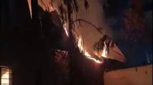 Haryana Gurugram News: फायर बॉल बनाने वाली कंपनी में लगी भीषण आग कई की मौत