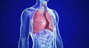 Lungs Problem: इन वजहों से फेफड़ों में भरता जा रहा जहर