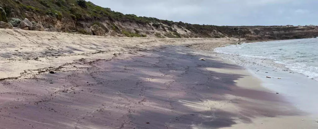 Science: ऑस्ट्रेलिया में रहस्यमयी गुलाबी रेत से छिपे हुए अंटार्कटिक पर्वतों का पता चला