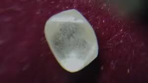 Panna: पाटी हीरा खदान क्षेत्र में किसान को  मिला चमचमाता 6.65 कैरेट का हीरा