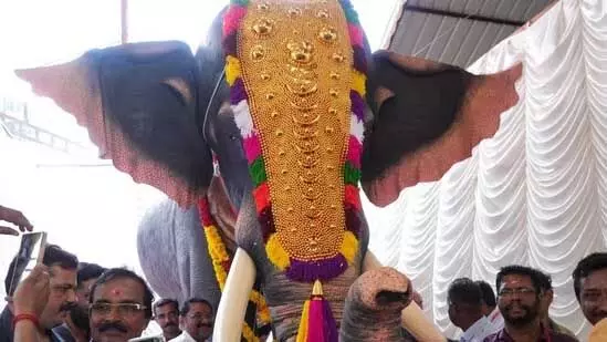 Kerala: पेटा इंडिया ने केरल के मंदिर को रोबोट हाथी भेंट किया