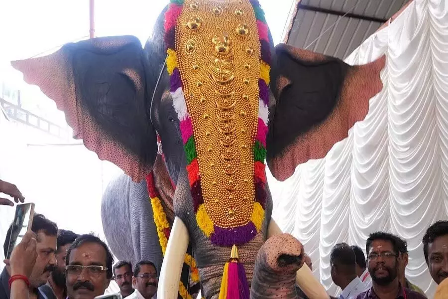 PETA इंडिया ने केरल के मंदिर को आदमकद यांत्रिक हाथी भेंट किया