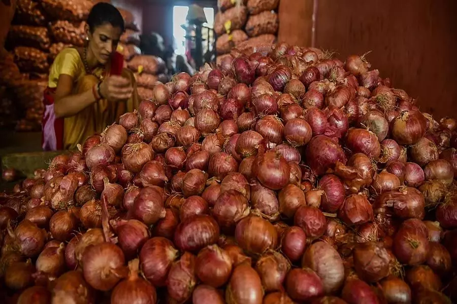 Onion News : सरकार ने बफर स्टॉक के लिए 71,000 टन प्याज खरीदा, सामान्य मानसून के साथ खुदरा कीमतों में कमी आने की उम्मीद