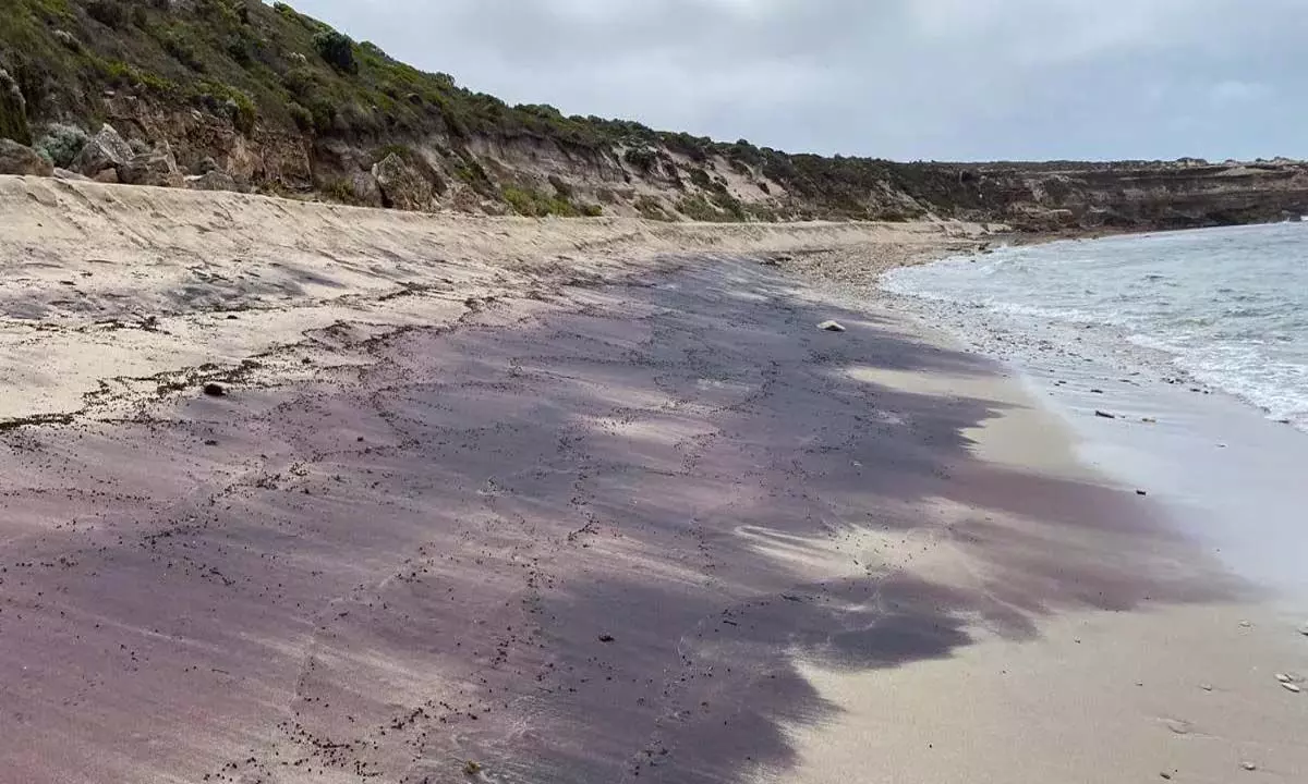 Australia : गुलाबी रेत से प्राचीन अंटार्कटिक पर्वतों का पता चला