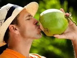 Coconut Water Drinking : जानिए गर्मियों में नारियल पानी पीने के फायदे