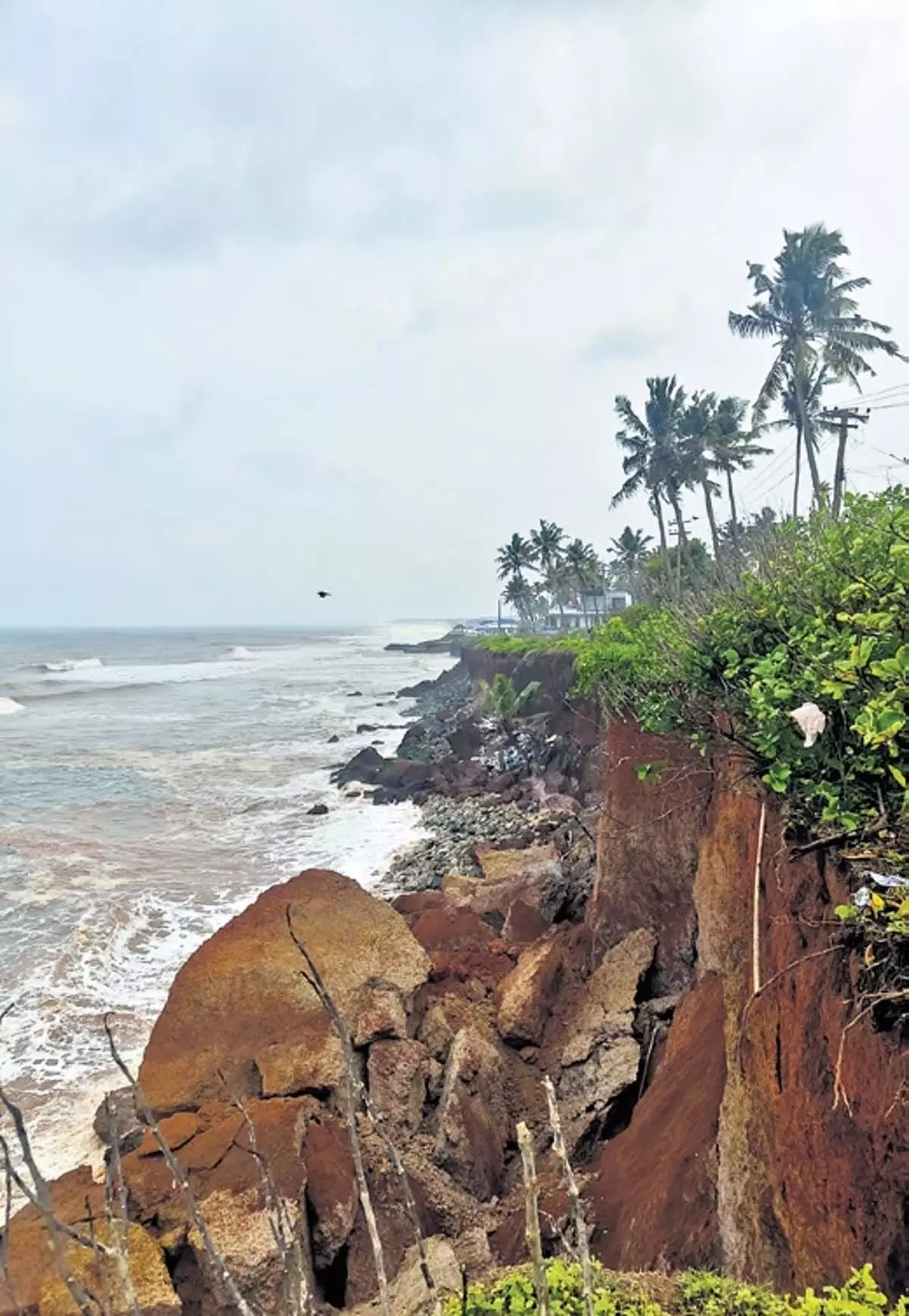 Kerala : हरित कार्यकर्ता ने वर्कला चट्टान को ध्वस्त करने के लिए जिला कलेक्टर के खिलाफ उच्च न्यायालय का दरवाजा खटखटाया