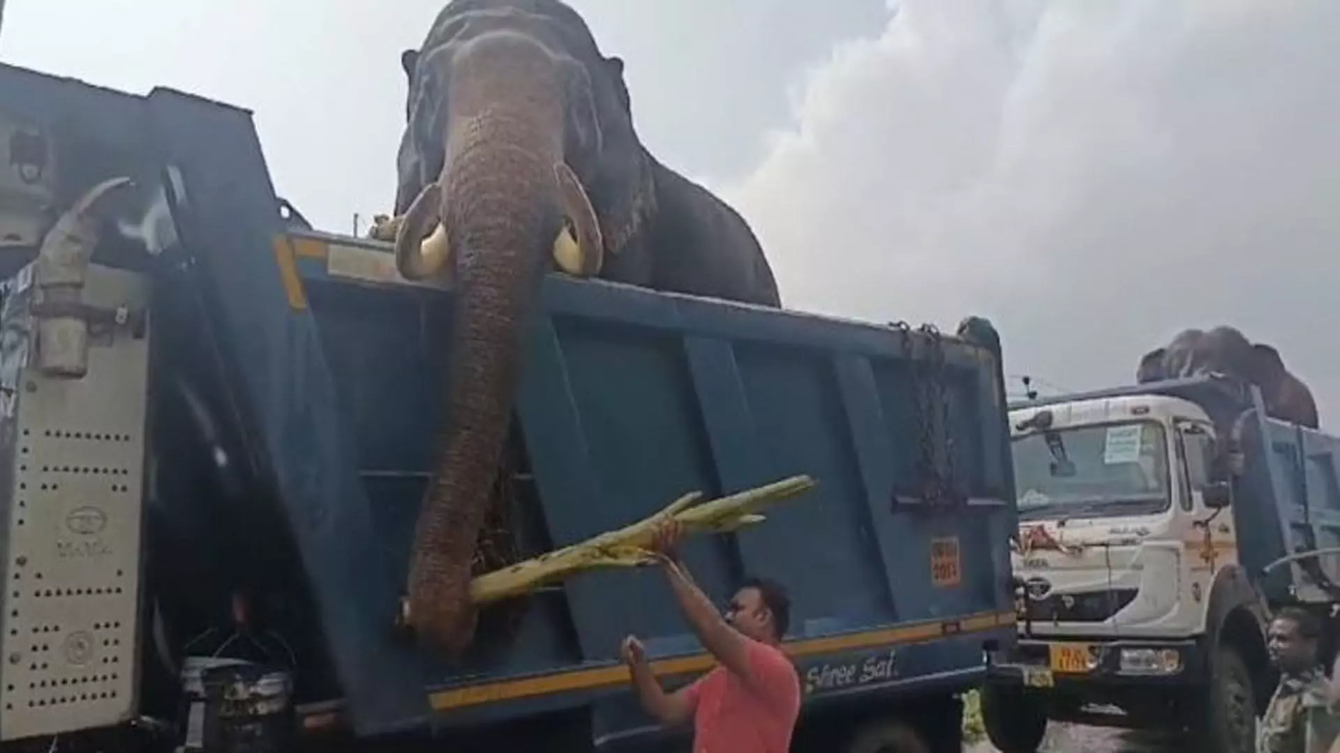Odisha News : दो कुमकी हाथी सतकोसिया से सिमिलिपाल लौटे