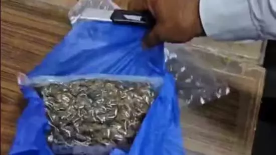 Ahmedabad: 3.50 करोड़ रुपये मूल्य के गांजे और ड्रग्स जब्त किए