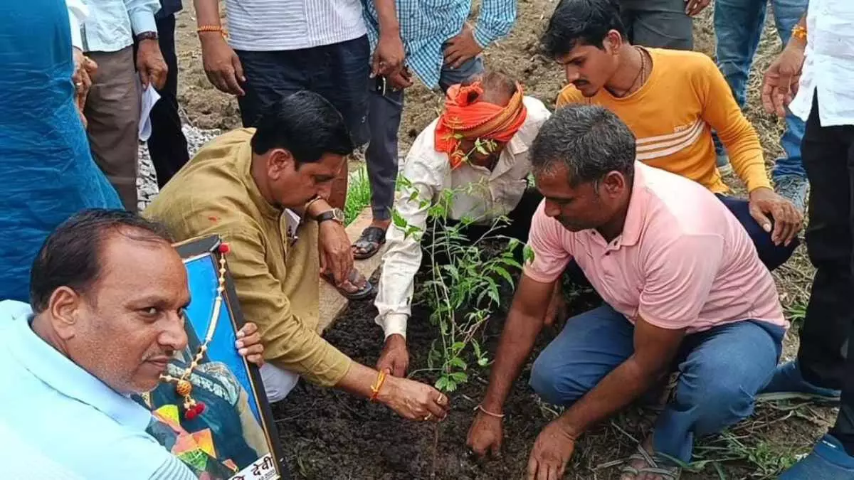 गृहग्राम में केंद्रीय राज्यमंत्री Tokhan Sahu ने रोपे पौधे