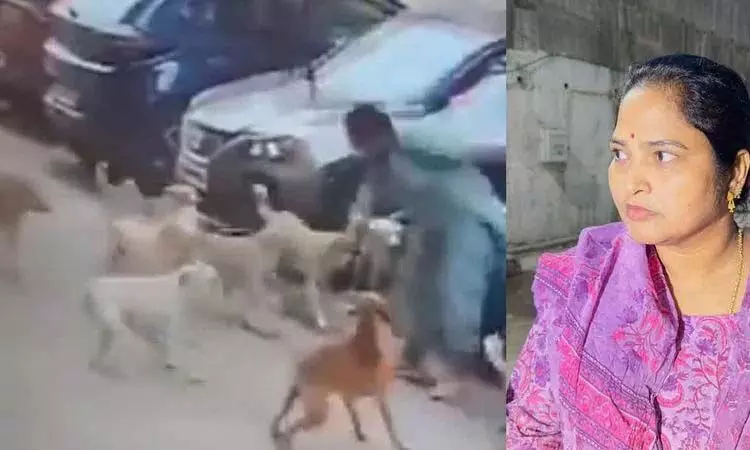 Hyderabad: मणिकोंडा में आवारा कुत्तों के झुंड ने महिला पर हमला किया