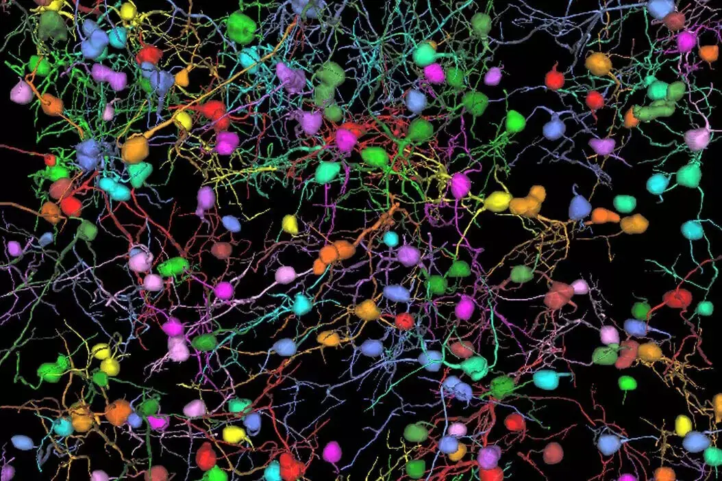 Science: इमेजिंग तकनीक ने न्यूरॉन के संचार को नई स्पष्टता के साथ दर्शाया