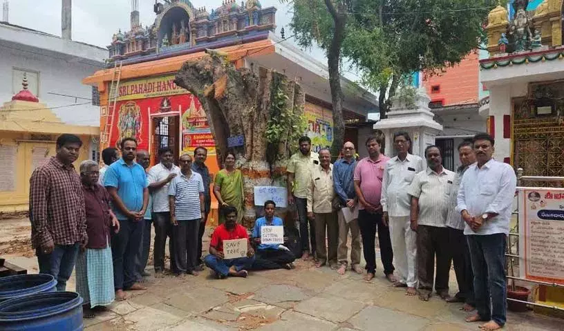 Hyderabad: 100 साल पुराने पवित्र अंजीर के पेड़ को इतिहास बनने से बचाया गया