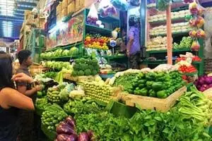 Kolkata News: कोलकाता में कम बारिश के बाद सब्जियों के दाम आसमान छूने लगे