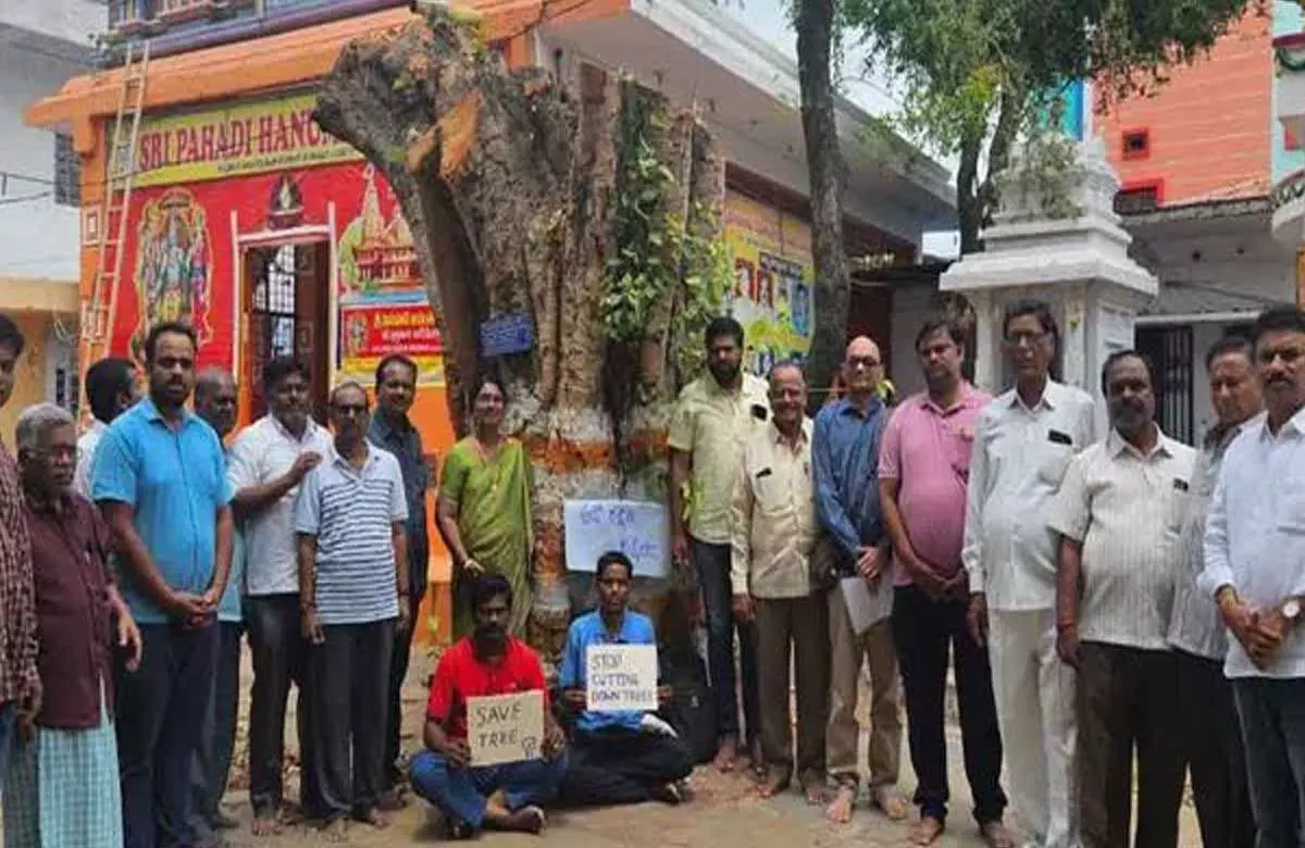 Hyderabad में 100 साल पुराने पवित्र अंजीर के पेड़ को इतिहास बनने से बचाया