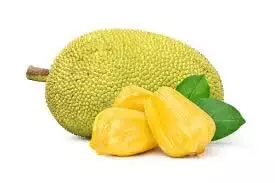 Ripe Jackfruit: किन लोगो के लिए फायदेमंद हैं कटहल जानिए