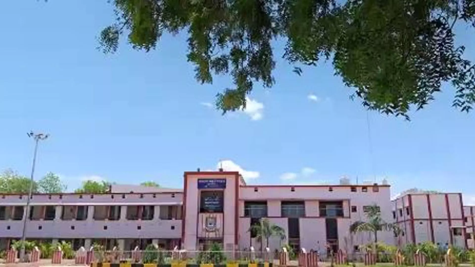 Rourkela News: सुंदरगढ़ सरकारी कॉलेज ने ‘आदिवासी विश्वविद्यालय’ का दर्जा मांगा