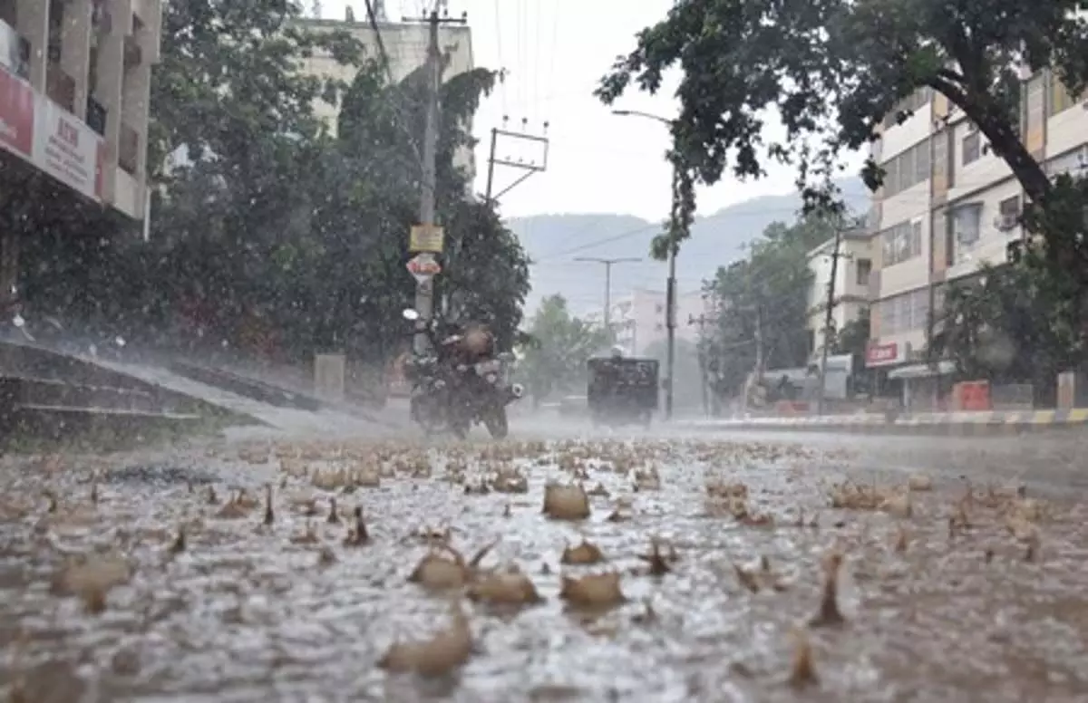Andhra : आईएमडी ने आज आंध्र प्रदेश में आंधी-तूफान और बिजली गिरने की चेतावनी दी