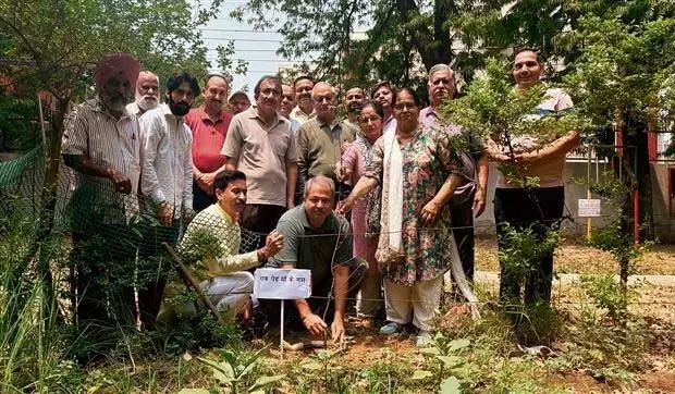 Chandigarh: चंडीगढ़ BJP ने शुरू किया ‘एक पेड़ मां के नाम’ अभियान