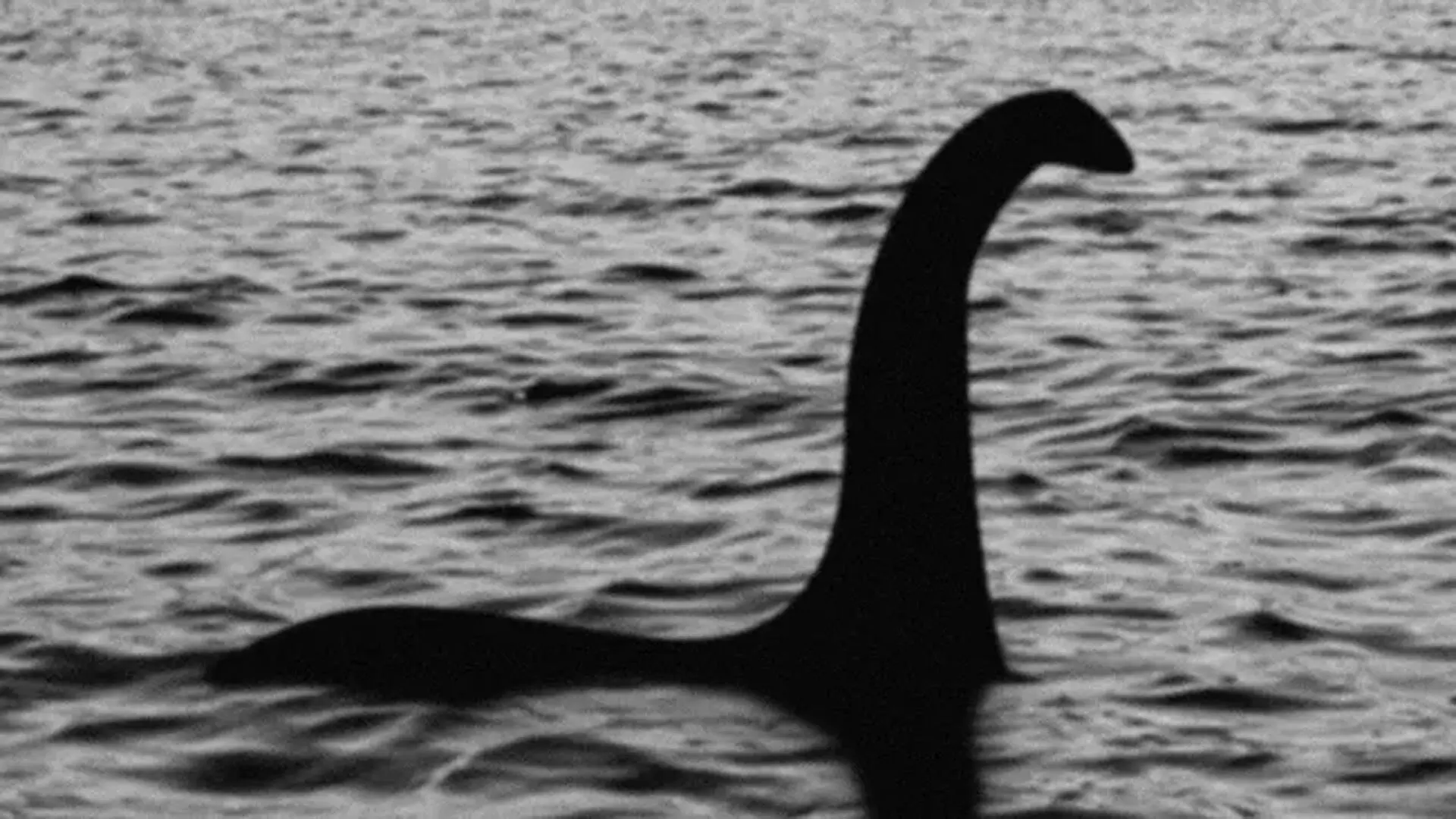 Loch Ness Monster, कुछ सेकंड में अपनी गर्दन को अपने शरीर की लंबाई से कर सकता है 30 गुना लंबा