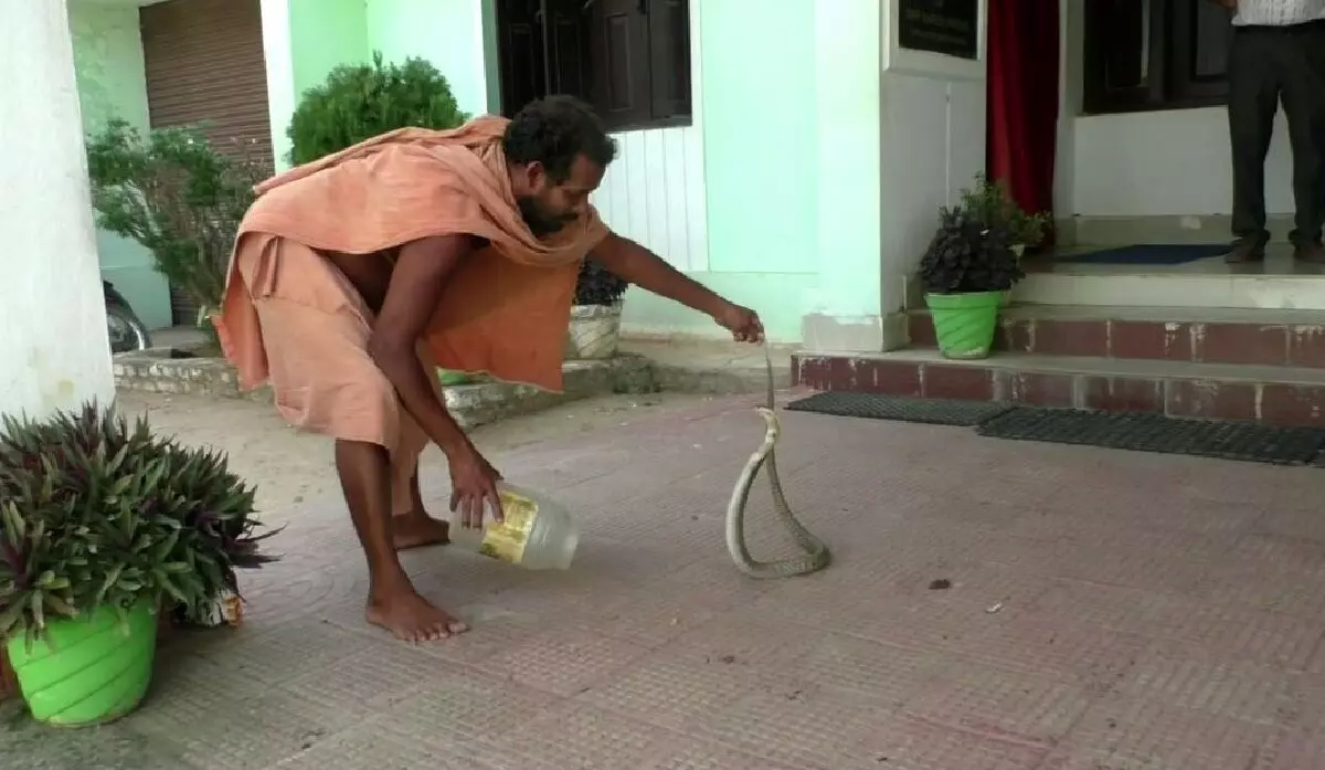Odisha के सुबरनपुर जिले में सांप पकड़ने वाले की सांप के काटने से मौत