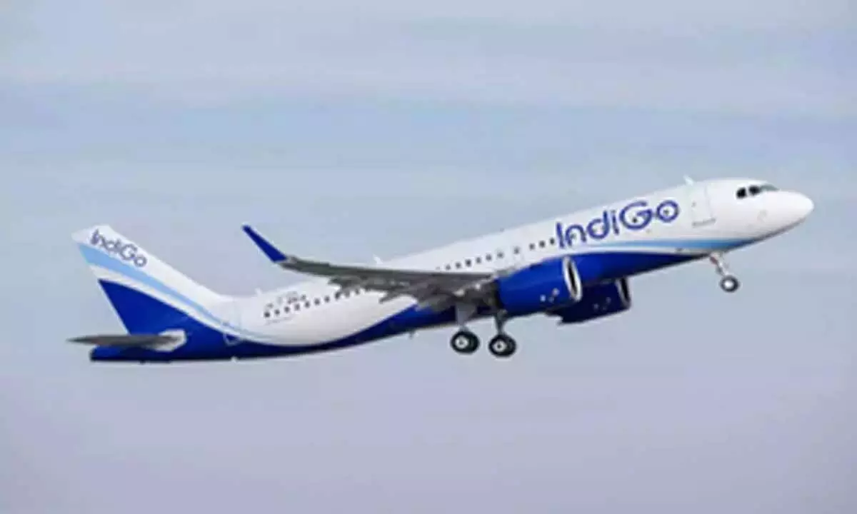 IndiGo: मुंबई-जेद्दाह उड़ानों की आवृत्ति करेगी दोगुनी