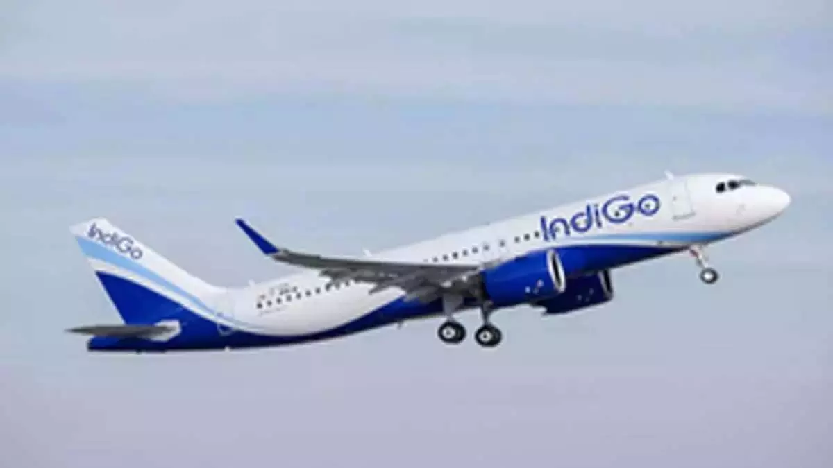 IndiGo; इंडिगो मुंबई जेद्दाह उड़ानों की आवृत्ति करेगी दोगुनी