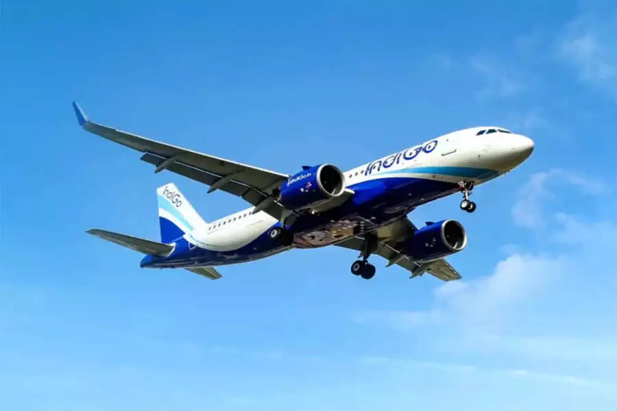 IndiGo Mumbai-Jeddah उड़ानों की आवृत्ति दोगुनी करेगी