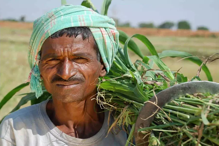 Congress ने Maharashtra में किसानों के लिए कर्ज माफी की मांग की