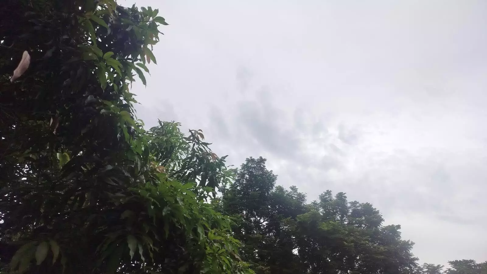 Chhattisgarh: तेज आंधी तूफान के साथ आज जमकर बरसेंगे बादल