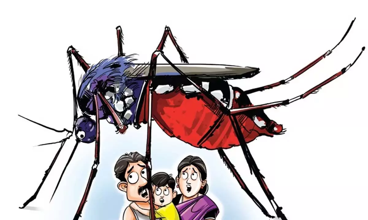 Karnataka News: कर्नाटक में डेंगू के मामलों में 60 प्रतिशत की वृद्धि