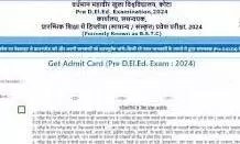 Pre D.El.Ed Admit Card: राजस्थान प्री डीएलएड प्रवेश परीक्षा का एडमिट कार्ड जारी