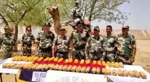 Ferozepur News: फिरोजपुर में BSF ने किसान की निशानदेही पर पकड़ी 530 ग्राम हेरोइन