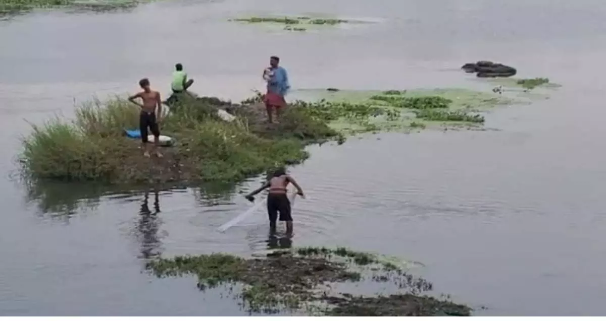 Odisha : पिपिली में नदी का पानी प्रदूषित होने से मृत पाई गईं हजारों मछलियाँ