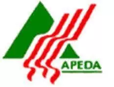 Arunachal : एपीडा ने ई-मोबिलिटी के लिए पहल की, जागरूकता कार्यशाला का आयोजन किया
