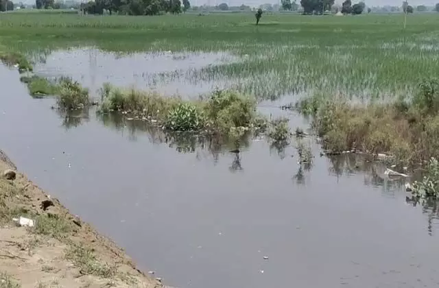 Punjab: भाखड़ा में दरार आने से डूबने के कगार पर नथेरा गांव