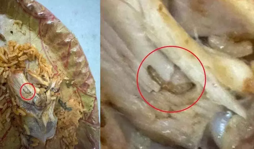 Hyderabad: कुकटपल्ली में महफ़िल से मंगाई गई चिकन बिरयानी में कीड़े मिले