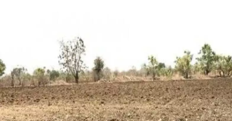 Monsoon: किसान चिंतित, कम बारिश होने की वजह सामने आई