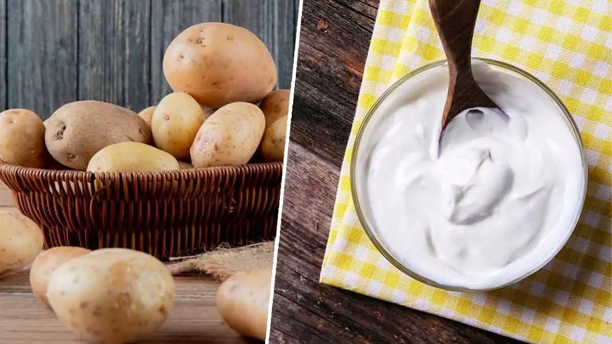 Potatoes With Curd Side Effects: इन लोगों को भूलकर भी दही के साथ आलू नहीं खाना चाहिए