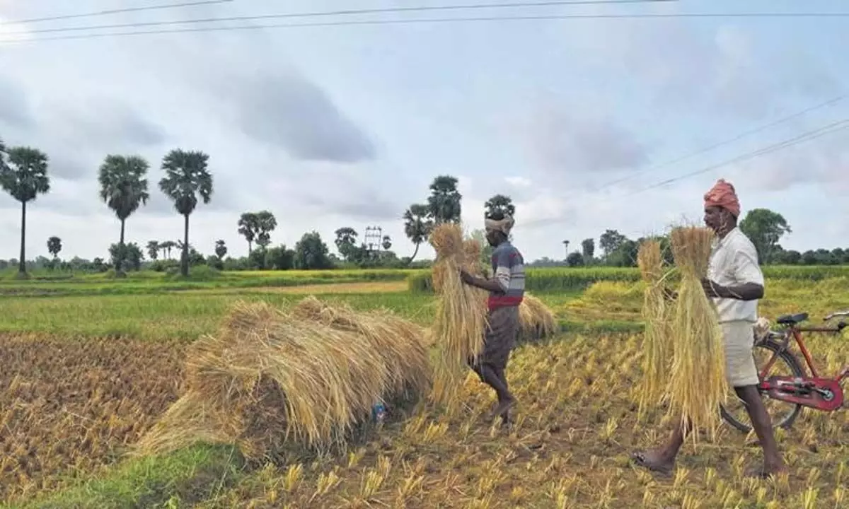 Telangana News: तेलंगाना सरकार रायतु भरोसा पर किसानों की राय मांगेगी