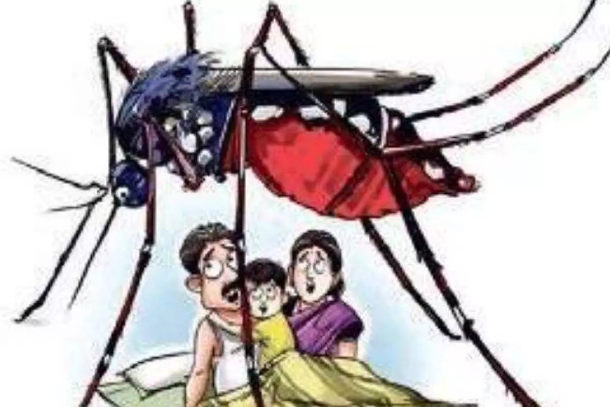 Karnataka : डेंगू से मृत्यु दर नियंत्रण में है, मुख्यमंत्री सिद्धारमैया ने कहा