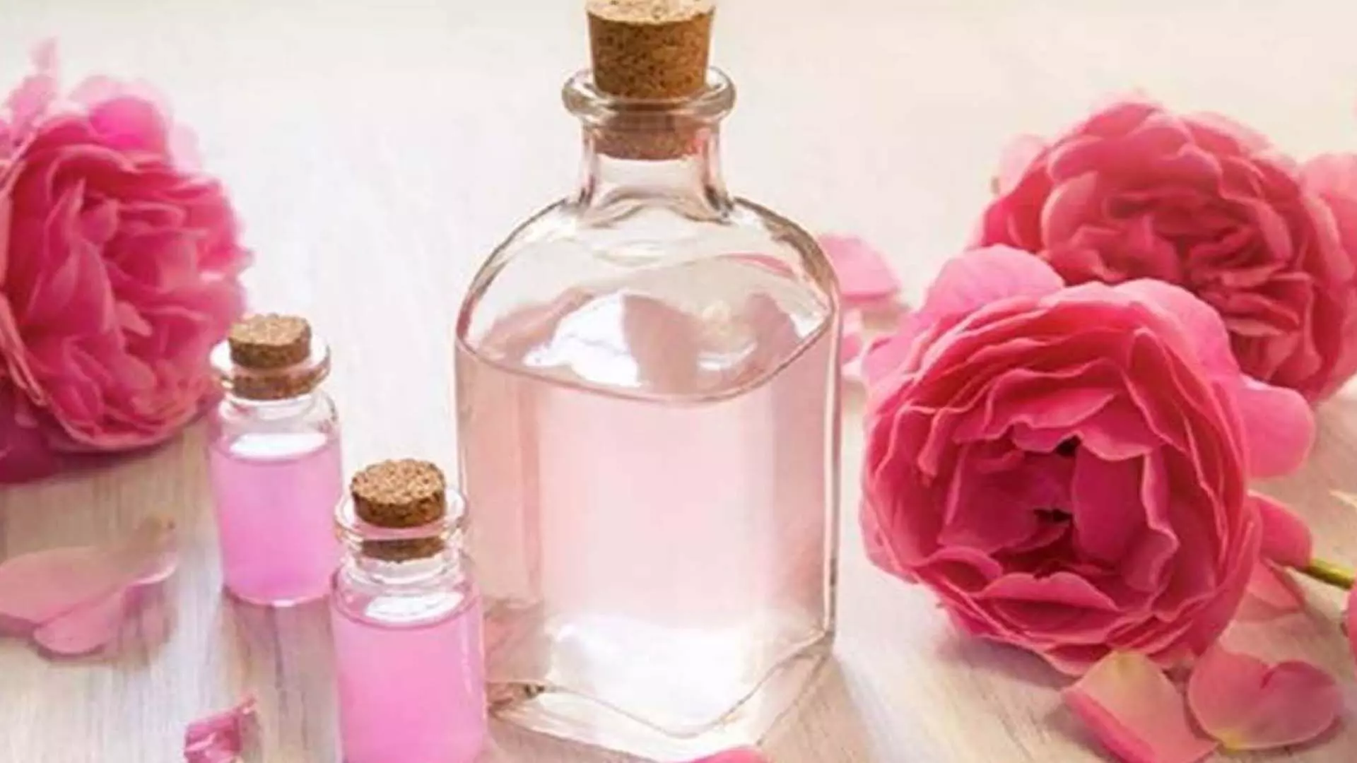 Rose water: त्वचा को ठंडक देने के साथ ही कई फायदे पहुंचाता हैं गुलाब जल