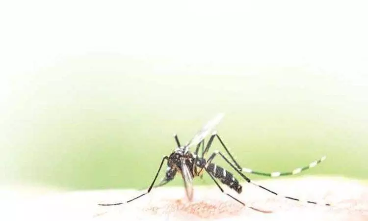 Mohali News: मोहाली प्रशासन द्वारा डेंगू संबंधी सलाह