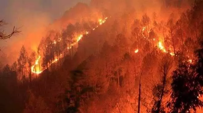 Fire Season में 26 हजार हेक्टेयर जंगल राख