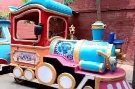 Toy Train: टॉय ट्रेन से गिरकर बच्चे की हुई मौत